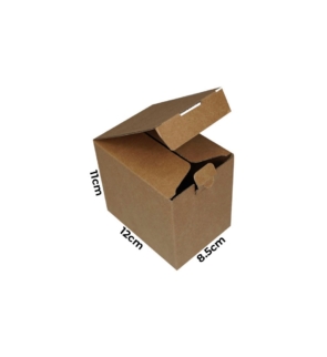 CAJA12TV.jpg