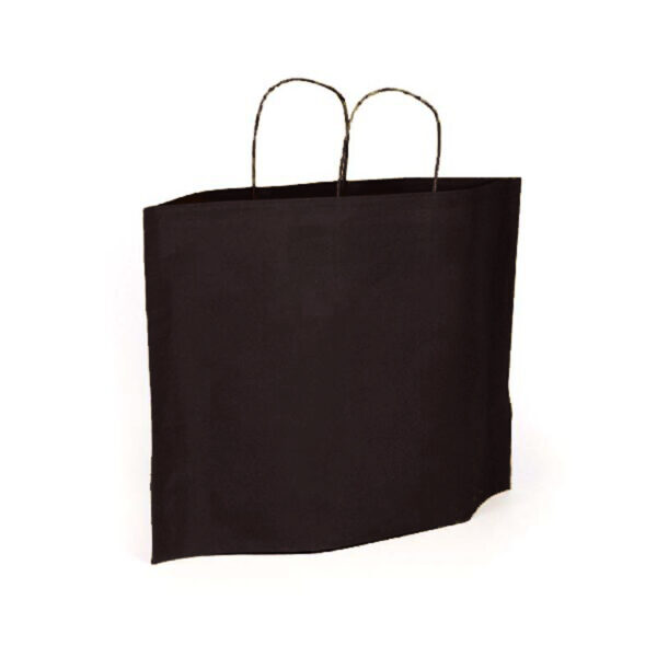 BOLSA PAPEL CELULOSANG 30+10X25 ASA RIGIDA BOTTOM BAG