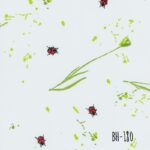 BH-180.jpg