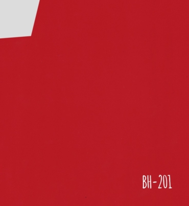 BH-201.jpg