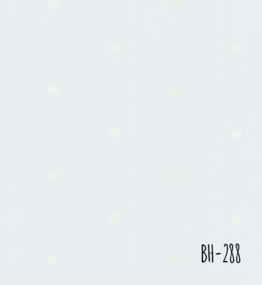 BH-288.jpg