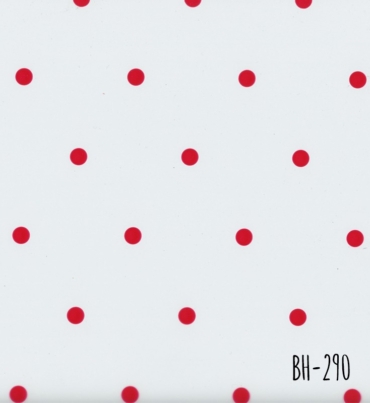 BH-290.jpg