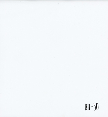 BH-50.jpg