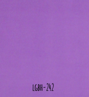 LGBH-242.jpg