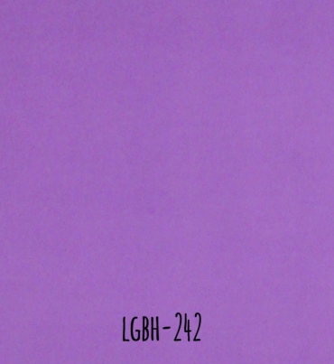 LGBH-242.jpg
